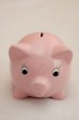 Piggy bank