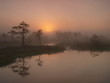 Marsh landscape, sunrise
