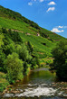 Rivière Vosgienne à Thann , Alsace (Fr) Rivière Vosgienne à Thann , Alsace (Fr)
