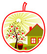 apple tree and cottage in apple apple tree and cottage in apple
