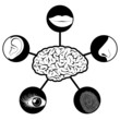Five senses icons controlled controlled by brain