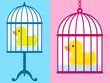 Cute rubber duck captured in a birdcage