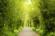 Garden Path
