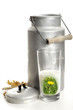 Foto: Frische Milch Frische Milch
