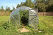 small hothouse amongst green herb