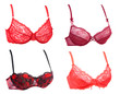 Collage from four bra Collage from four bra