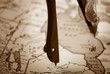 Compass