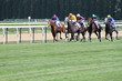 courses chevaux à deauville
