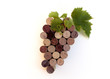 Grappe de Grappe de