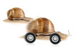 Überholende Schnecke auf Rädern