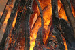 Bonfire.