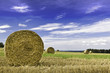 Sileian Harvest