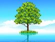 canvas print picture Tree in the water