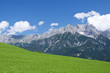 Alpen-Panorama - Wiesen-Berge-Blauer Himmel