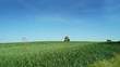 Green Fields