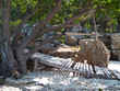 Swing in shady of tree Swing in shady of tree