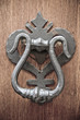 Doorknocker on allwood door.