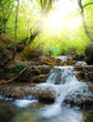 Waterfall in the early morning.