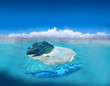 Post Card from Tahiti Post Card from Tahiti