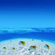 Post Card from Tahiti Post Card from Tahiti