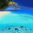 Post Card from Bora Bora Post Card from Bora Bora