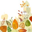 Autumn leaves background Autumn leaves background