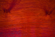 Tropical wood texture
