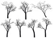 tree silhouettes, vector