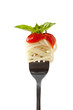 Spaghetti with sauce and parmesan cheese on a fork