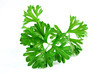 Parsley