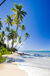 Northern coast of Trinidad, Caribbean