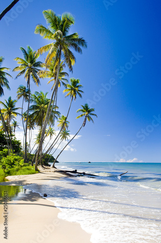 Foto: Northern coast of Trinidad, Caribbean Northern coast of Trinidad, Caribbean