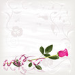 Pink rose