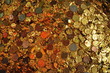golden ball