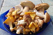 champignons champignons