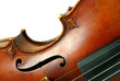 Part of violin on white background. Part of violin on white background.