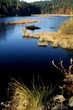 Lac de Lispach (Vosges)