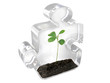 pièce de puzzle en verre plus plante sur fond blanc