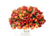 Bouquet of Tulips Bouquet of Tulips