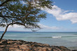 Shoreline