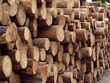 Holzstapel