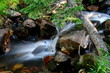 Mountain Stream