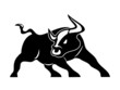angry bull