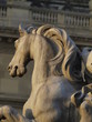 Museo del Louvre en Paris
