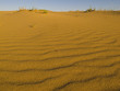 Desert Horizon