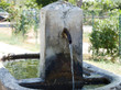 fontana fontana