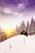 Cottage in winter