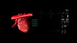 Human heart beating in high definition