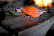 hot item on the anvil