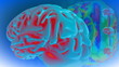 3d animated multicolor brain